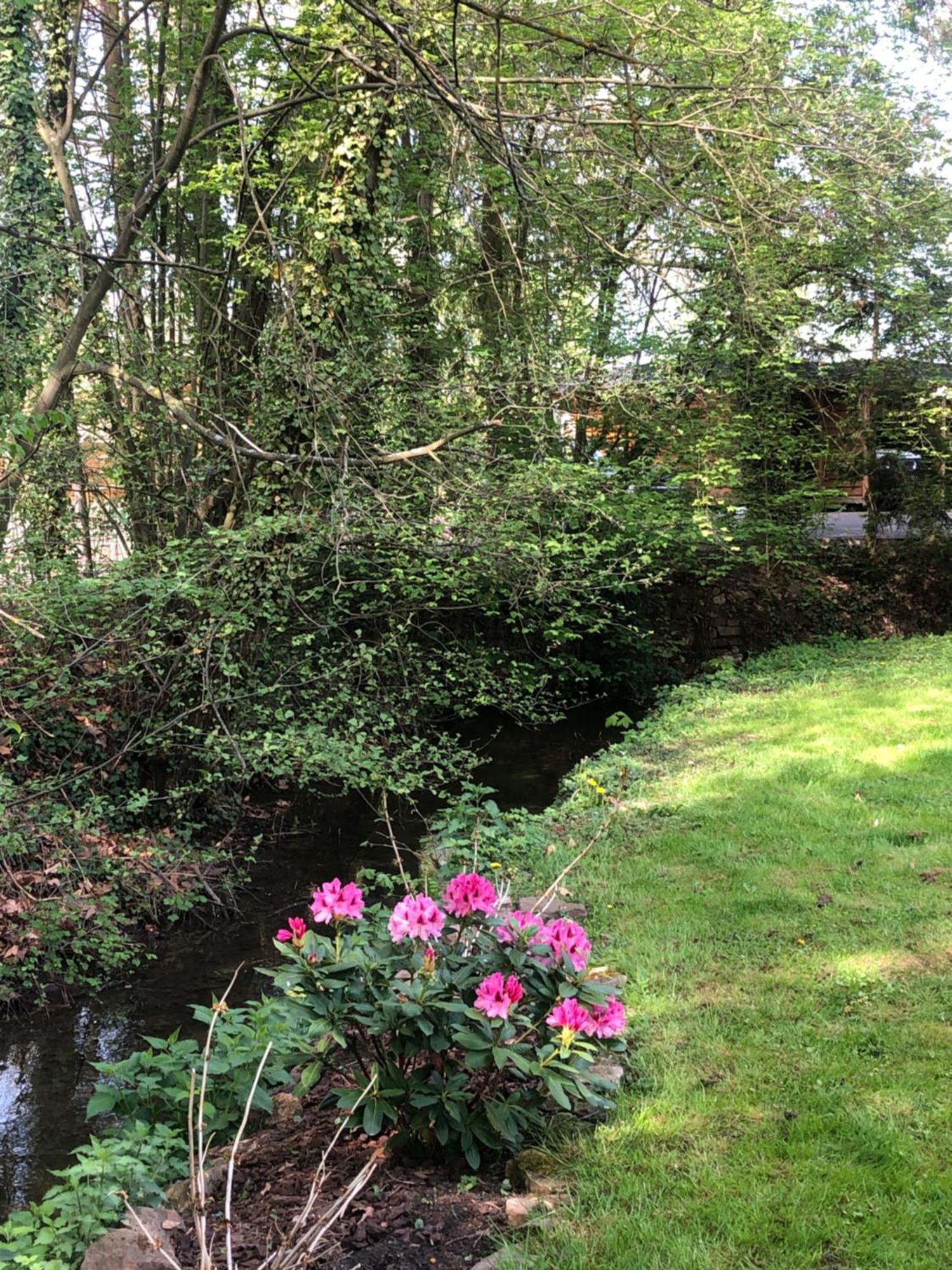 Le Petit Woerthel Wolxheim Exterior foto